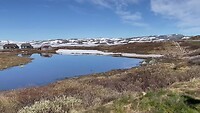 Hardangervidda (2)