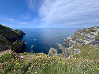 Bray Head