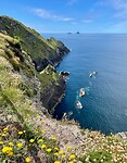 Ring of Skellig: Bray Head