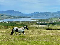 Portmagee