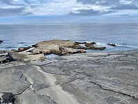 Cliff Walk