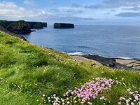 Cliff Walk