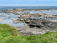 Cliff Walk