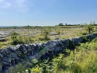 Een van de vele stapelmuurtjes in de Burren