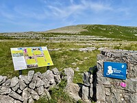 Start van de wandeling door de Burren