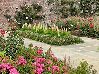 The rose garden