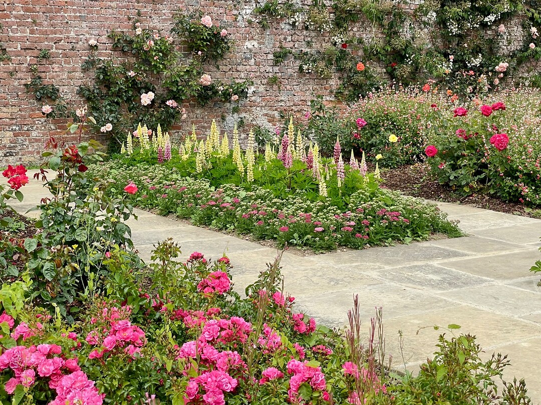 The rose garden
