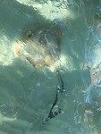 07115498-ADA8-47D8-A3C5-4C21B6848344