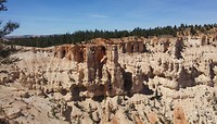 Soort caves