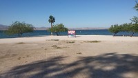 Lake Havasu state park