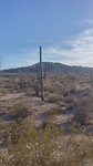 Zo'n typisch plaatje voor Zuid Arizona