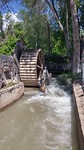 Nog maar een keer de oude watermolen