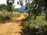 Motorrit Tad Lo