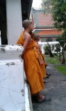 Jonge monniken Wat Pho