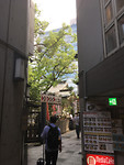 IMG_6397