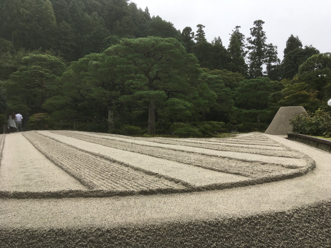 IMG_6887