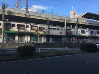 IMG_7565