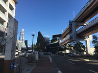 IMG_7568