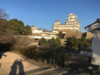 IMG_8040