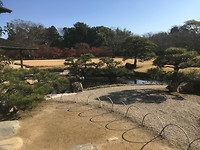 IMG_8012