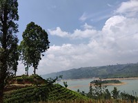 IMG_20190226_132351