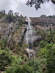 IMG_20190301_122229