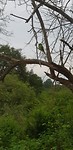 20190304_082429