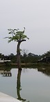 20190304_080134