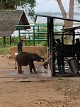 IMG_20190303_152326
