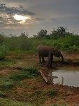 IMG_20190304_065849