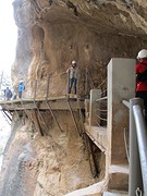 IMG_4466