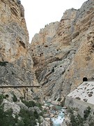 IMG_4470