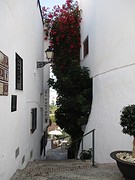 IMG_4622