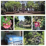 InCollage_20240808_160542150