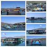 InCollage_20240814_132601283