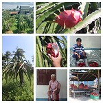 InCollage_20240816_222353958