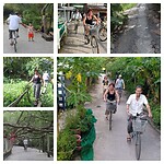 InCollage_20240820_232802159