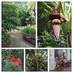 InCollage_20240820_233336355