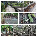 InCollage_20240820_233511087