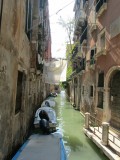 IMG_5211