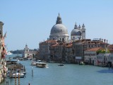 IMG_5239