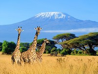 Kenia