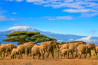 Kenia