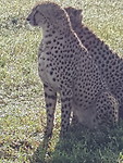 20200315_080346
