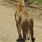 IMG_20200314_214737_410