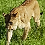 IMG_20200315_190652_139