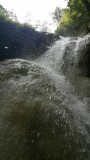 SPLASH!