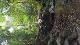 Stapperdestap