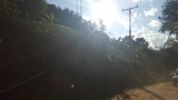 It's a beautiful day, the sun is shining