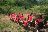 Walking to elephants